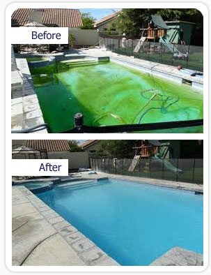 Pool Cleaning